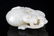 A FINELY CARVED PALE CELADON JADE PENDANT - 3