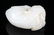 A FINE RUI SHOU CARVING WHITE JADE PENDANT - 3