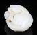 A FINE RUI SHOU CARVING WHITE JADE PENDANT - 4