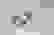 item-97905841=2