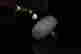 item-112912647=2