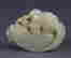 item-121032675=2