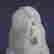 item-121038709=3