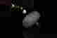 item-130731259=2