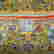 item-130731365=5