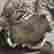 item-130735363=5