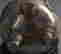 item-130735369=8