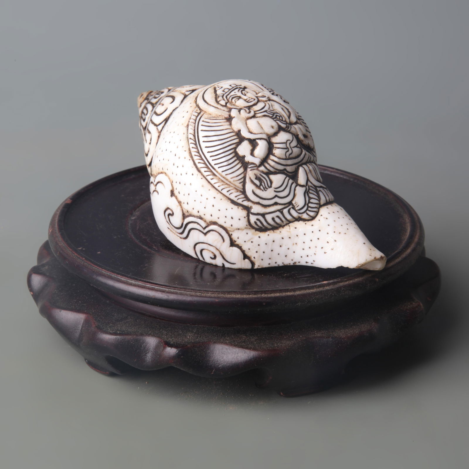 A FINE TIBETAN BUDDHISM CONCH (1 of 5)