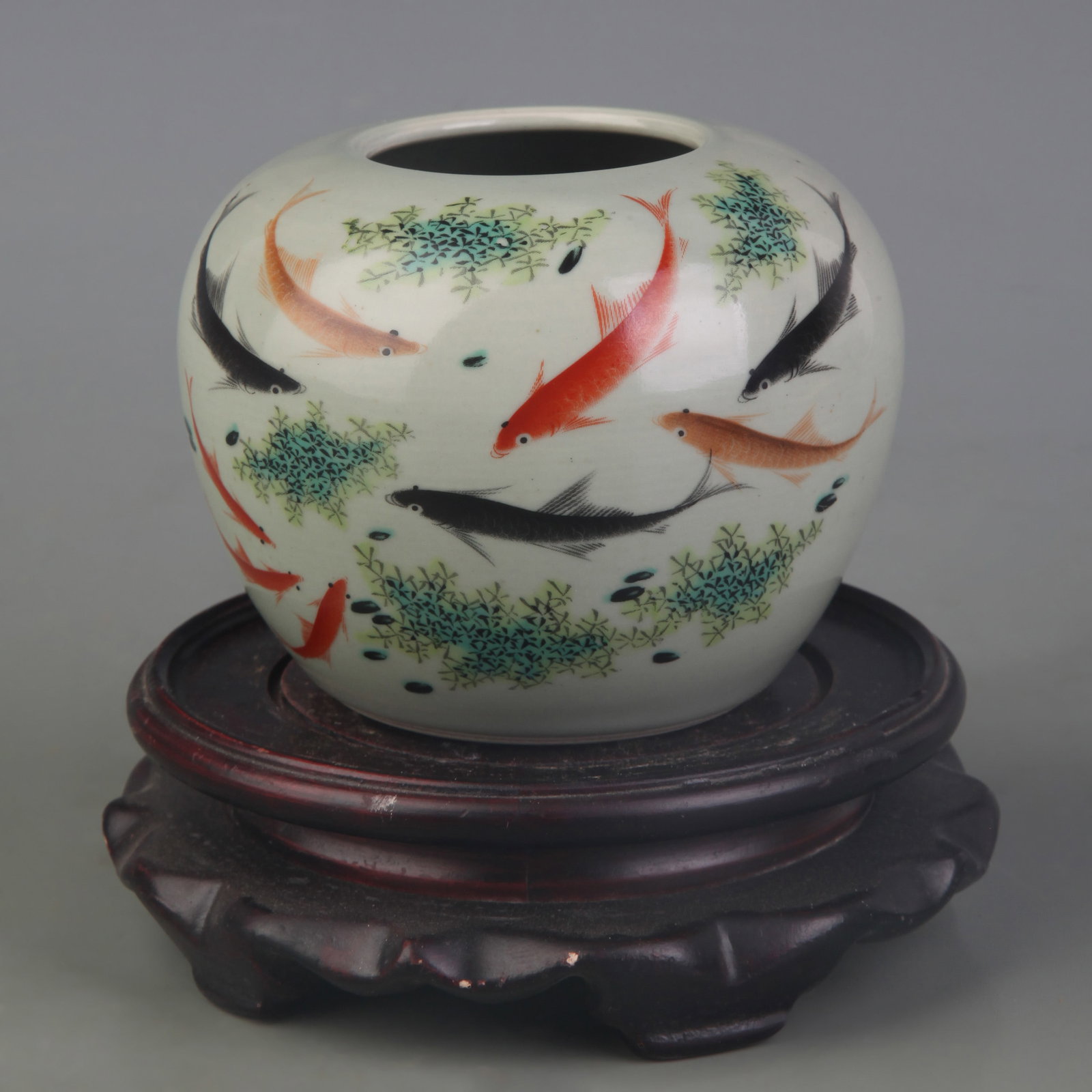 FAMILLE ROSE FISH PATTERN PORCELAIN WATER JAR: Qing Dynasty; High: 3.1 inch