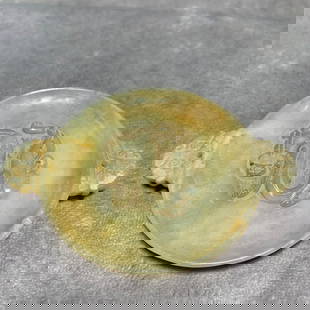 MING DYNASTY HETIAN JADE DRAGON PATTERN SMALL PLATE: Ming Dynasty; Long: 4.1 inch; Width: 2.9 inch; High; 0.3 inch;