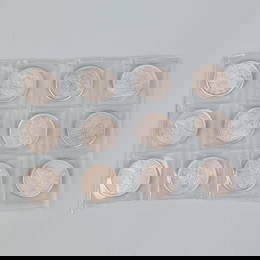 12 REPUBLIC OF CHINA SILVER DOLLARS