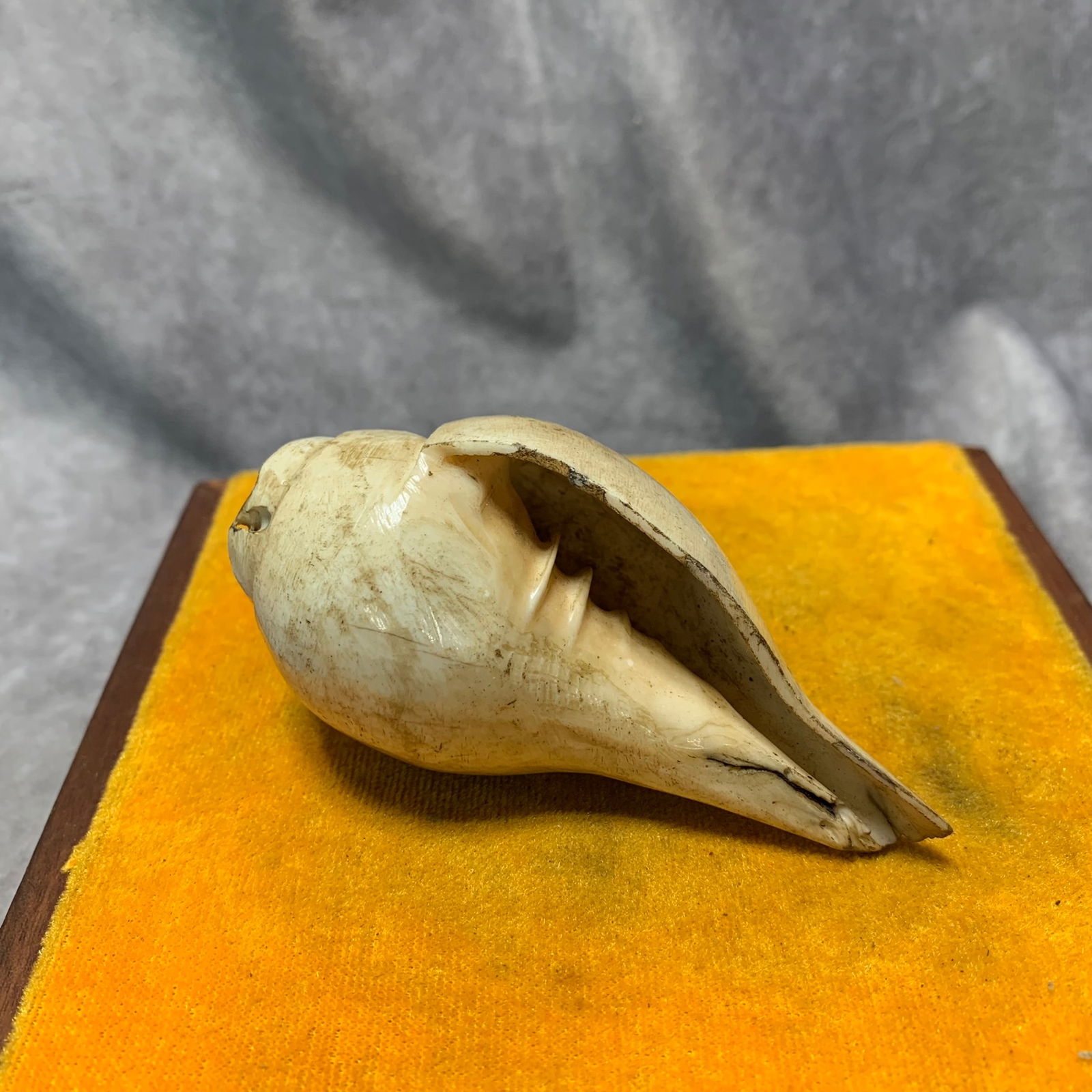 QING DYNASTY TIBETAN BUDDHIST RITUAL CONCH (1 of 4)