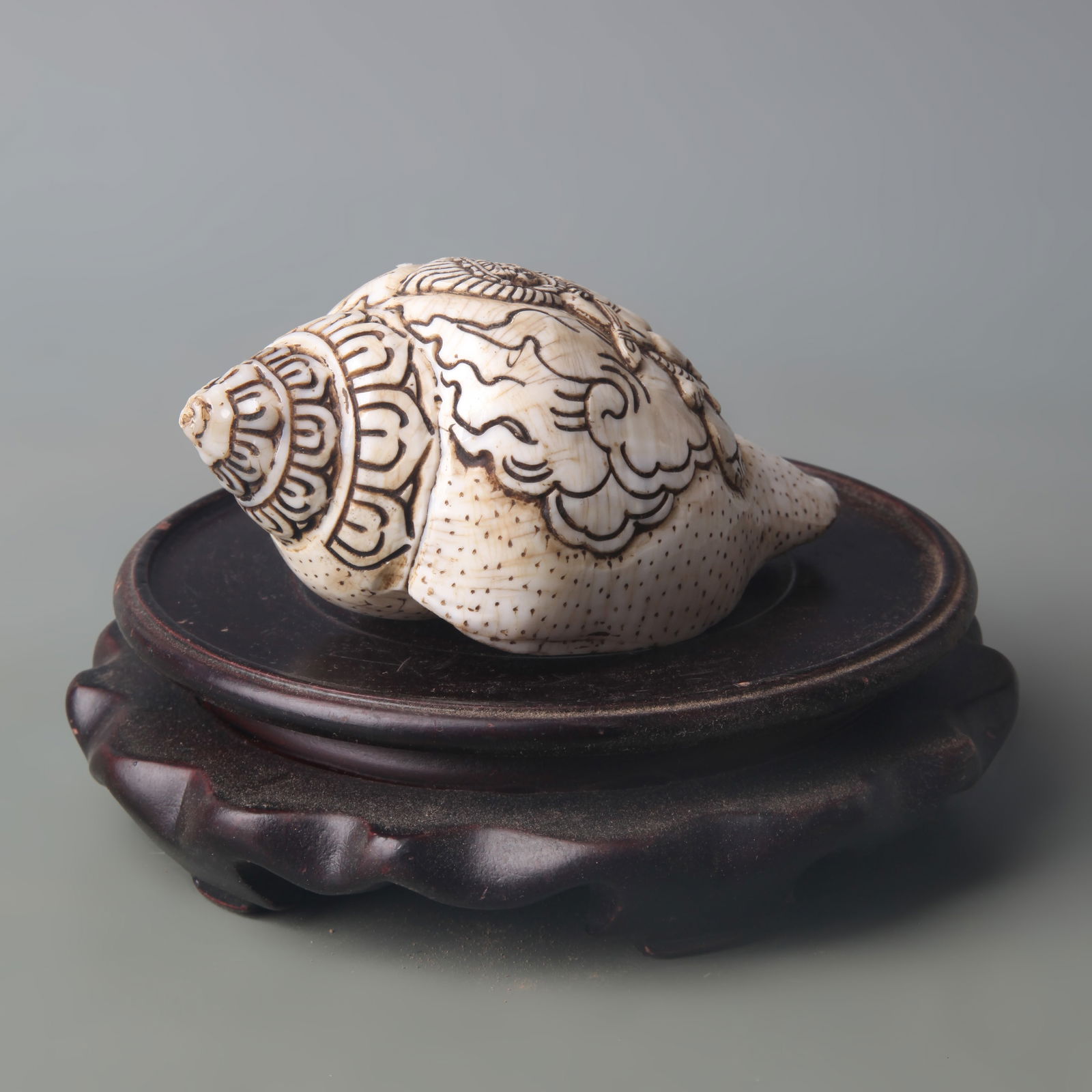 A FINELY CARVED TIBETAN BUDDHISM CONCH: Modern; Long:4.5 inch; Width: 2.4 inch