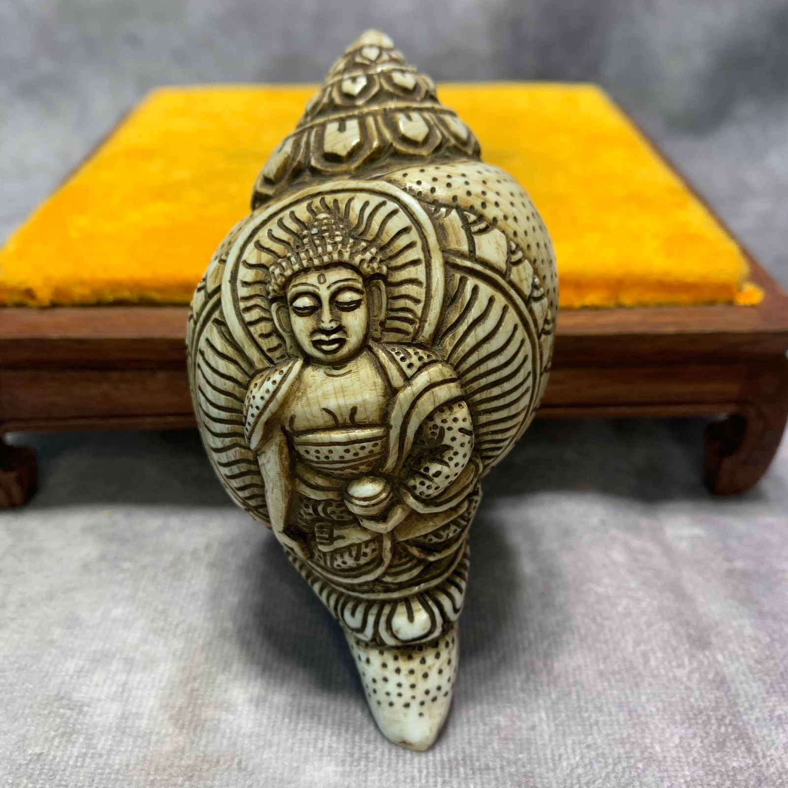 TIBETAN BUDDHIST RITUAL CONCH: Qing Dynasty; Long: 4.2 inch; Width: 2.3 inch; High: 1.8 inch