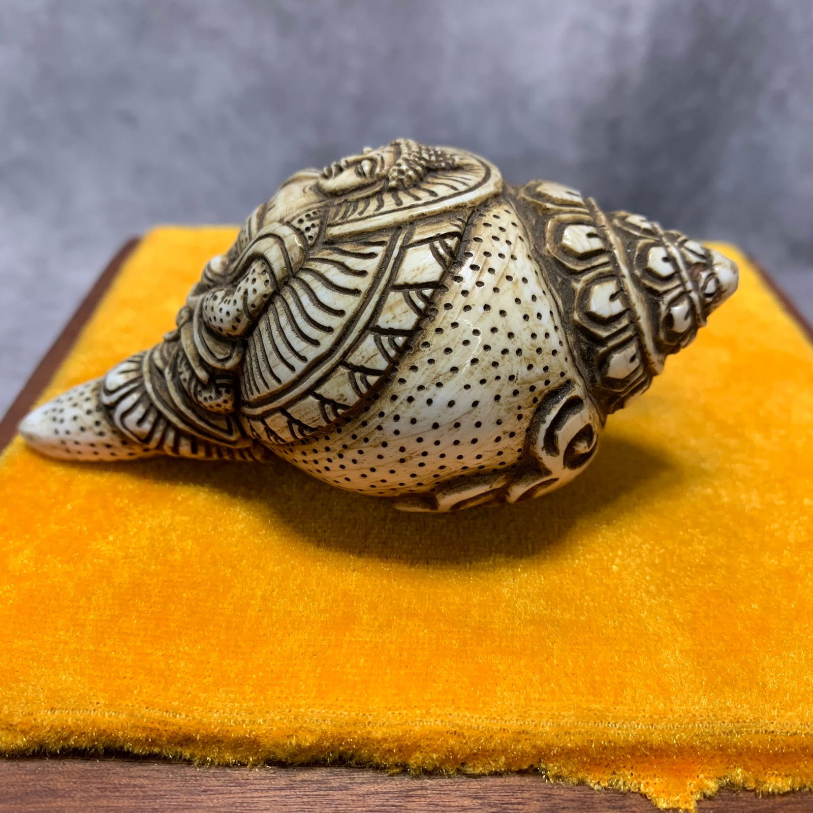 TIBETAN BUDDHIST RITUAL CONCH - 3