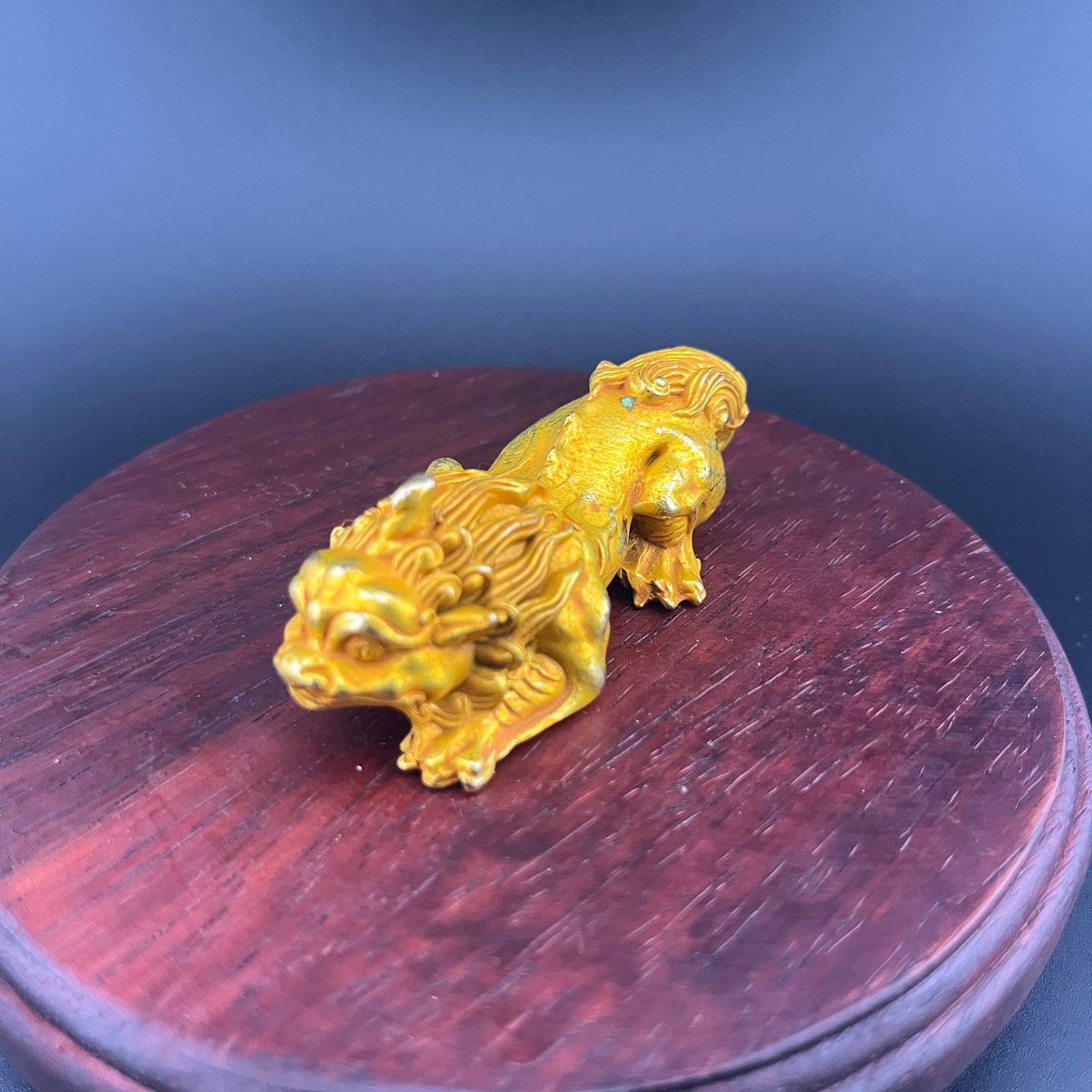 A FINE GILT BRONZE MADE GUARDIAN LION, FOO DOG: Modern; Long: 2.85 inch; Width:1.4 inch; Heigh: 0.9 inch; Woodbase for picture and display only