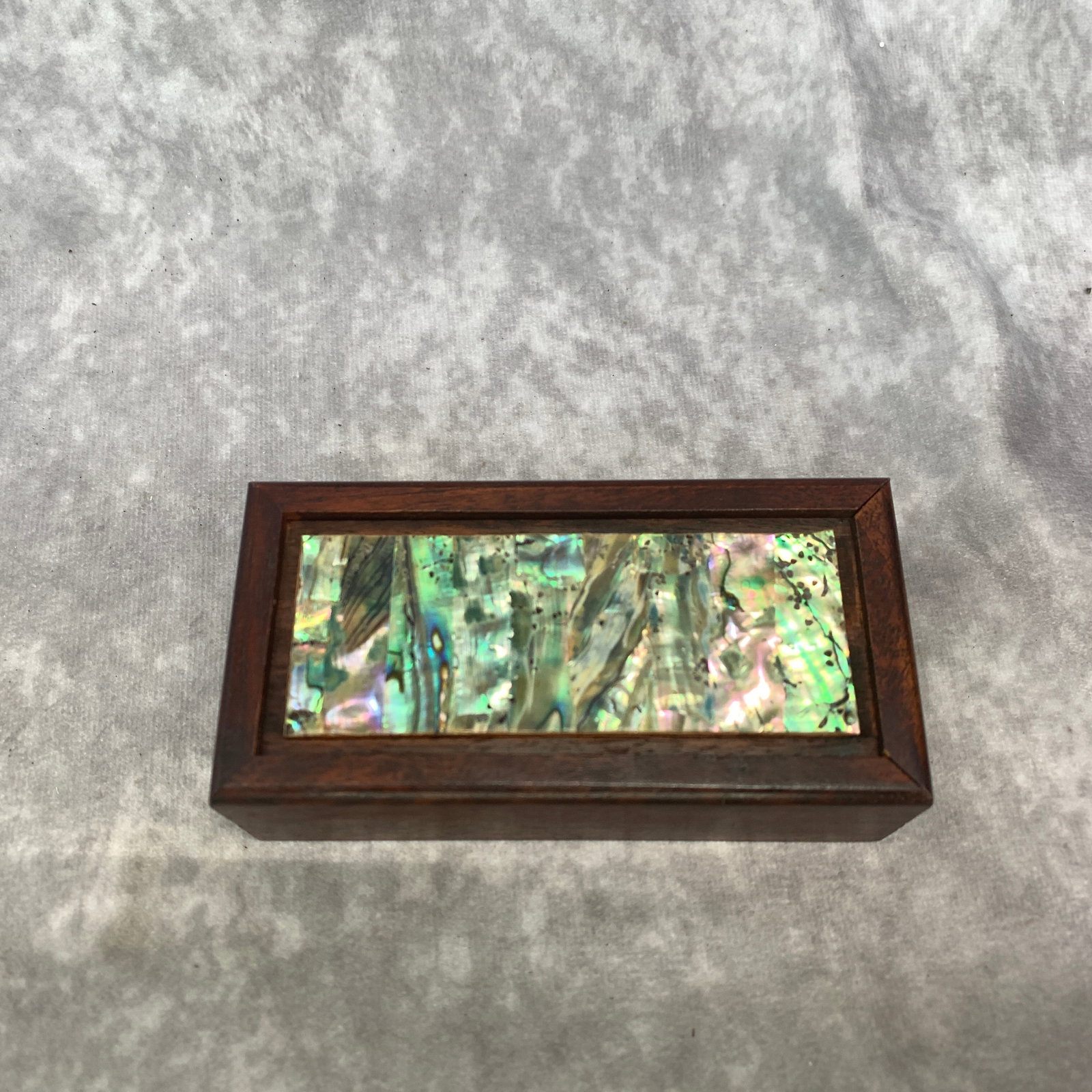 CHINESE HARDWOOD BOX WITH RADEN ABALONE PANEL