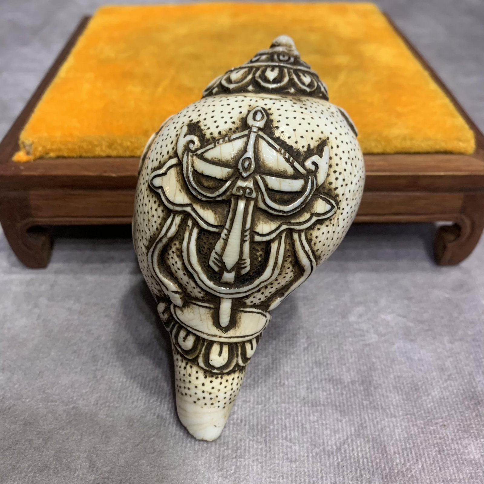 A FINELY CARVED TIBETAN BUDDHISM CONCH: 20th Century; High: 2.0 inch; Width: 2.2 inch; Long: 3.7 inch; wooden base for picture and display purpose only.