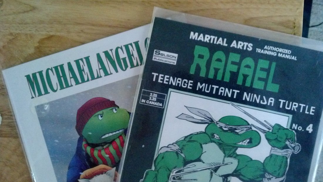 2 ISSUES TEENAGE MUTANT NINJA TURTLES