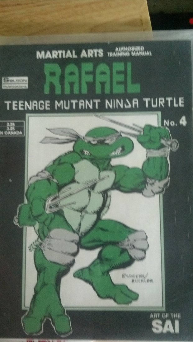 2 ISSUES TEENAGE MUTANT NINJA TURTLES - 2