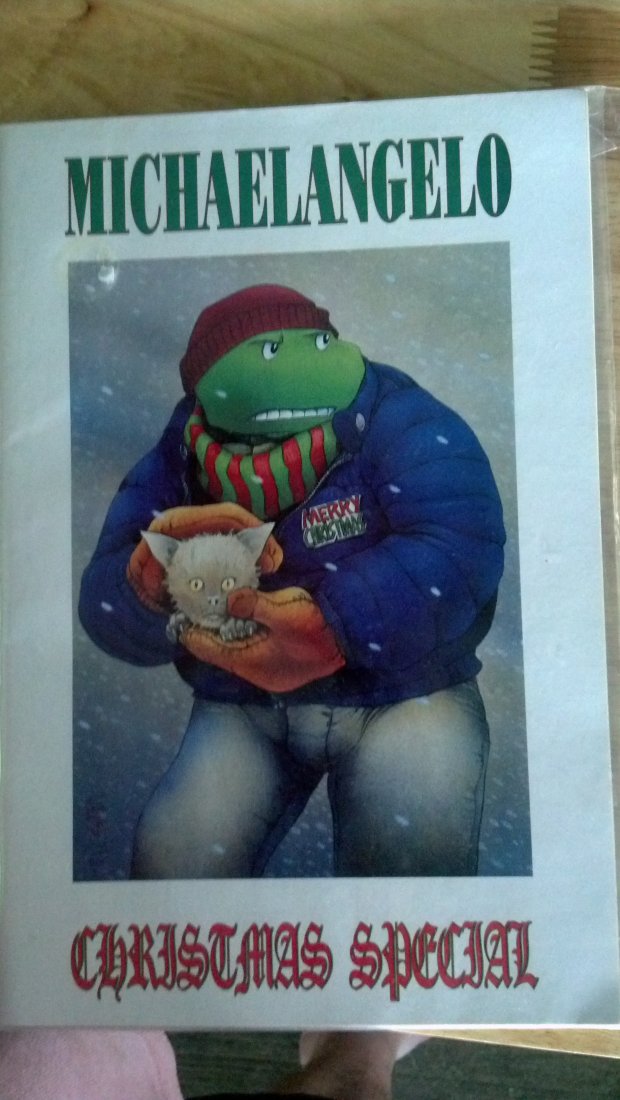 2 ISSUES TEENAGE MUTANT NINJA TURTLES - 3