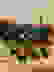 item-17473880=2