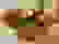 item-17473880=3