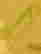 item-20329992=3