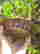 item-22695016=4