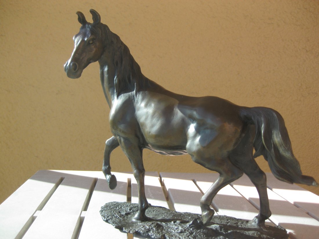 Elegant Bronze horse 2, 6 lb., 9 inches: Elegant Bronze horse, 6 lb., 9 inches Hollow inside. Height: 9” inches = 22 cm. Length: 11” inches = 27 cm. Weight: 6 lb. = 2.7 kg. Age: unknown
