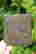 item-47107748=3