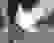 item-25976744=5