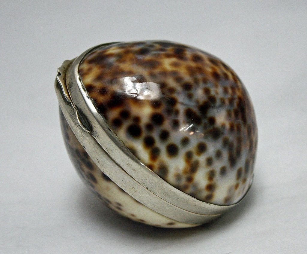 Gucci Italian Rare Cowry Shell & 800 Silver Box: Rare vintage genuine cowrie shell and 800 silver hinged snuff or pill box container, made by Gucci in Italy in the 20th C. Approximate Size: 2 1/2\" L (when closed; 5\" L open) x 2 1/4\" H. Monogram: 