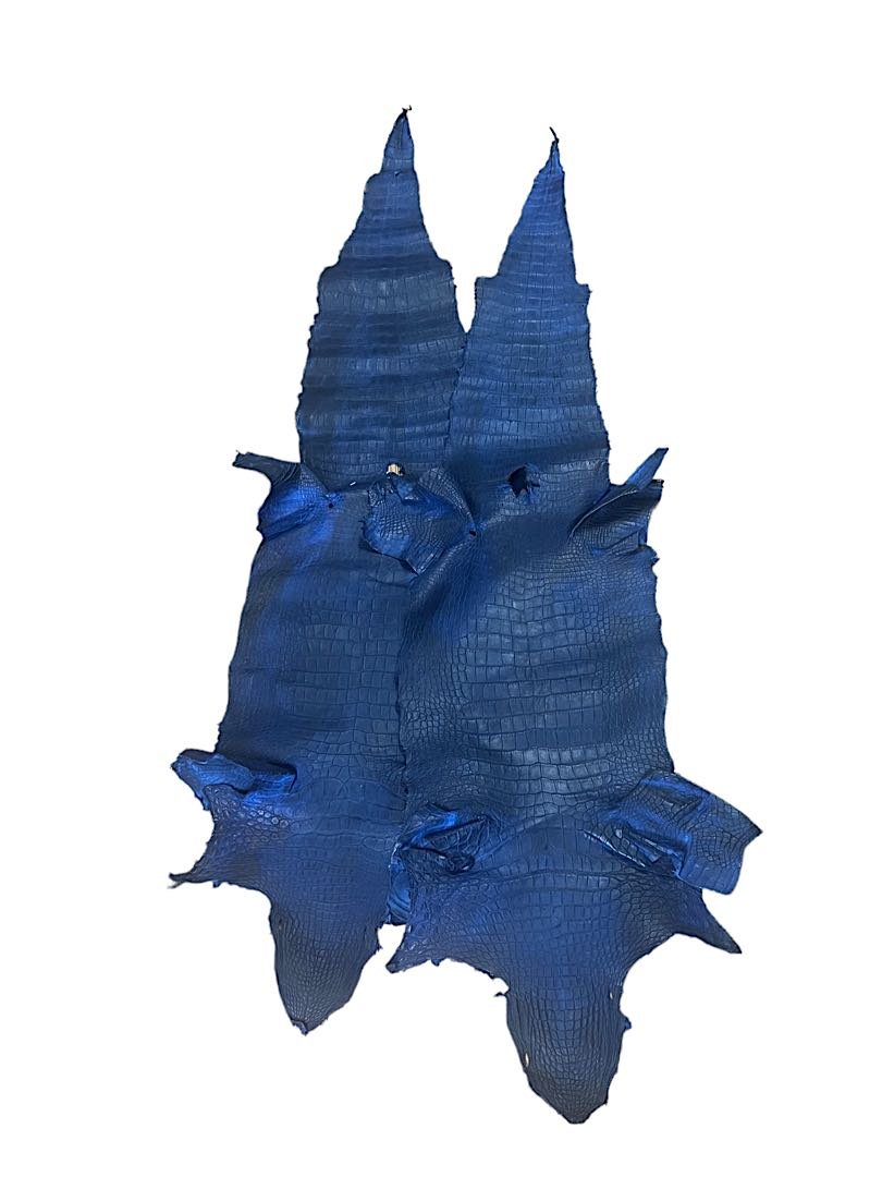SET OF TWO REAL BIG GENUINE ALIGATOR CROCODILE BLUE SKIN LEATHER HANDMADE 92" LONG (1 of 5)