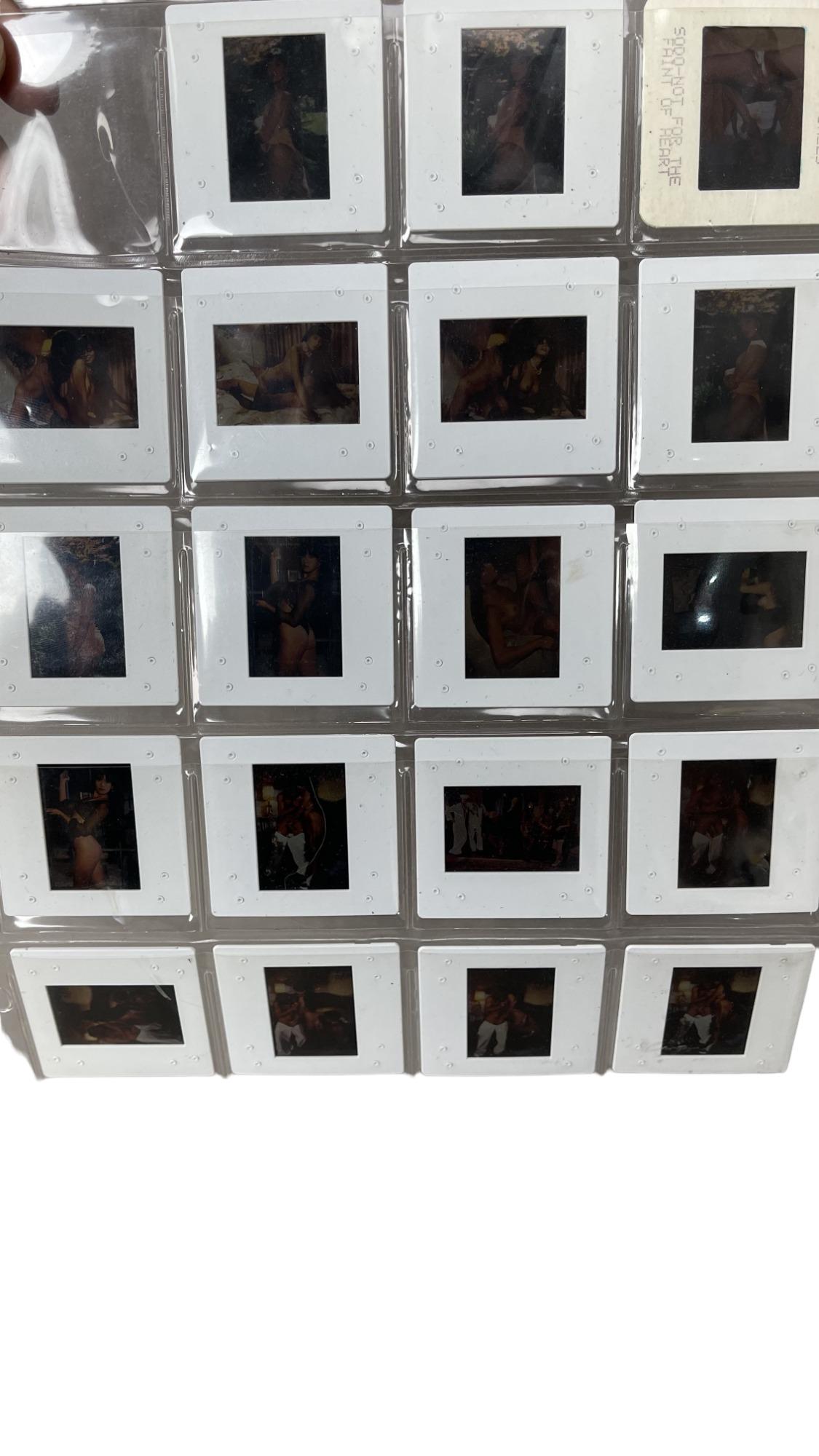 Elegant Angel Alex Dane Nude Film Negatives Auction