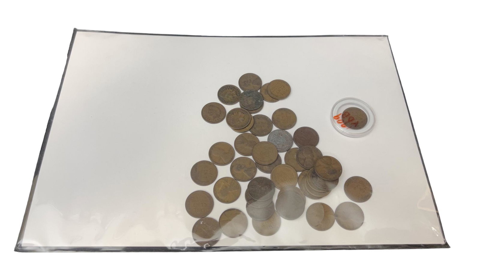 Indian Head Penny Coin Collection (1 of 3)