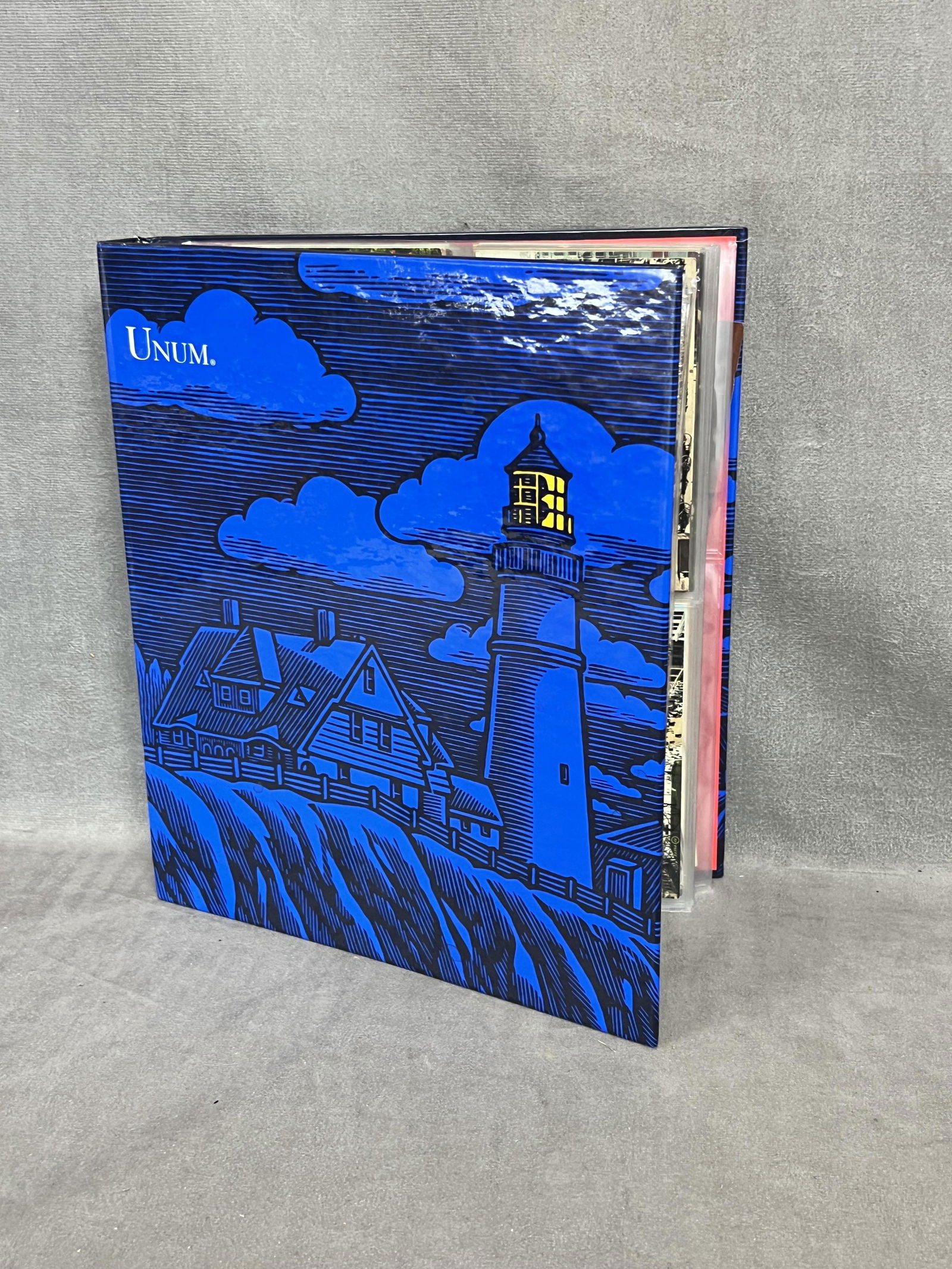 Antique NYS New Yord post card collection dealer lot (1 of 12)