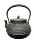 Japanese cast-iron teapot