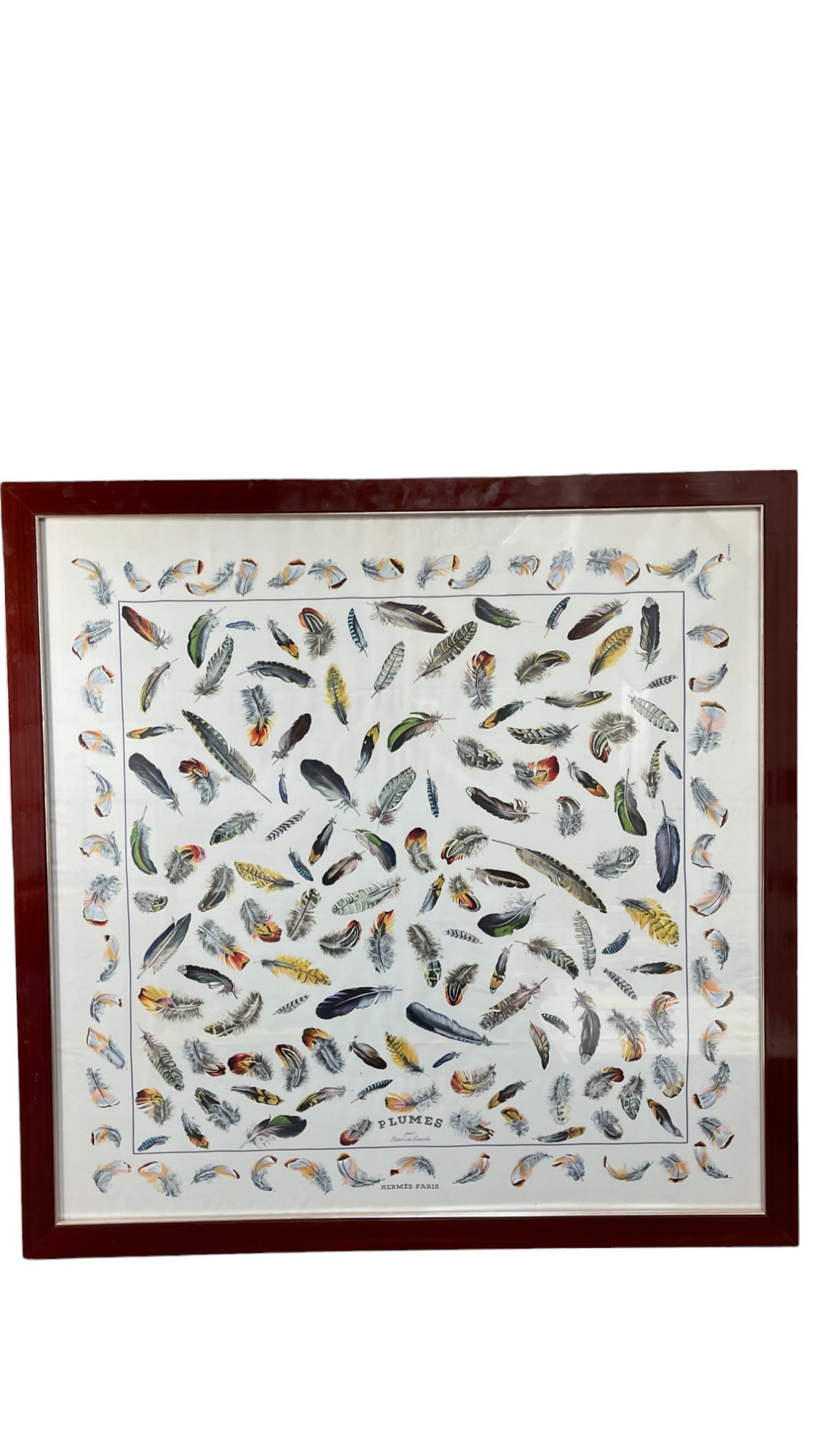 Hermes Paris Framed Plumes Silk Scarf (1 of 10)