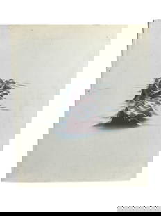 Design by Peter Saville paperback book September 2003: Design by Peter Saville paperback book September 2003