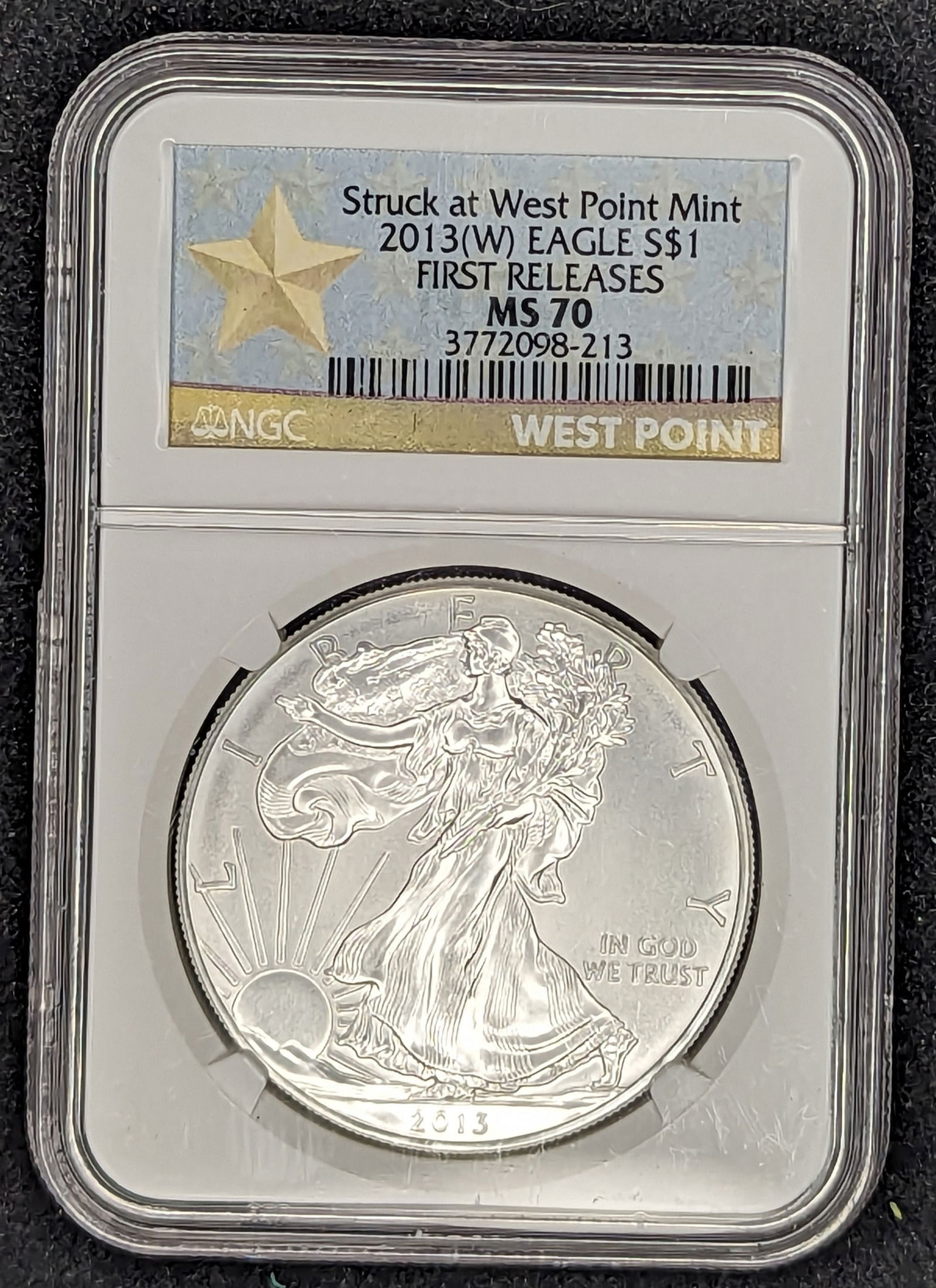 2013-W Silver Eagle Coin NGC MS70 (1 of 2)