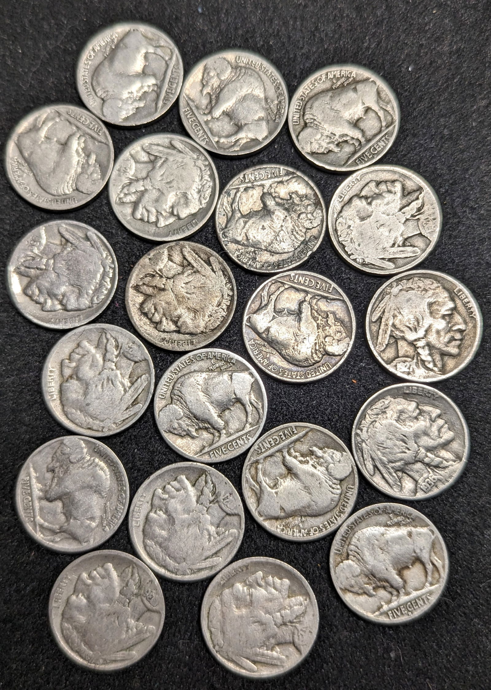 Group of Buffalo Nickel coins (1 of 1)