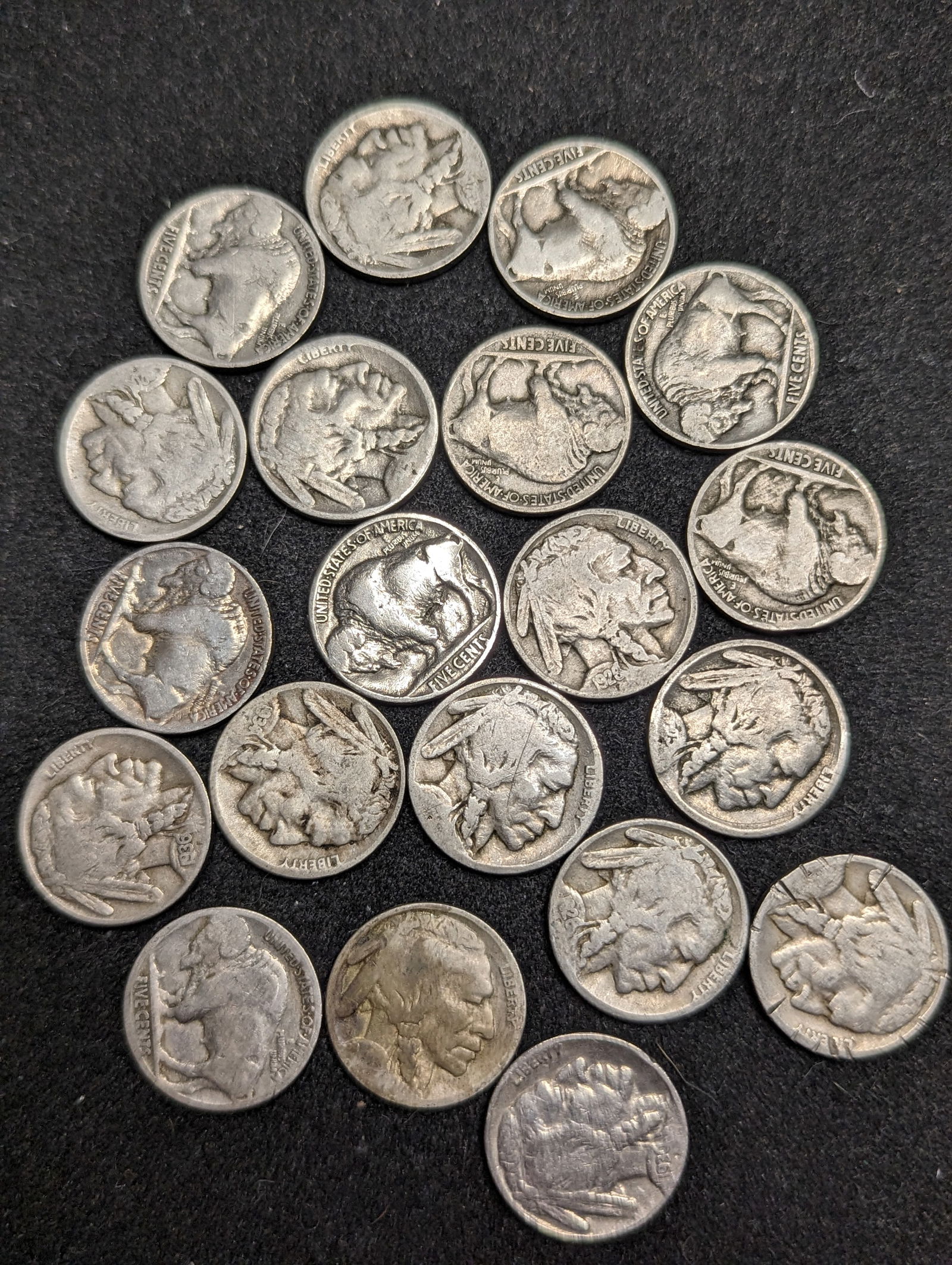 Group of Buffalo Nickel coins (1 of 1)