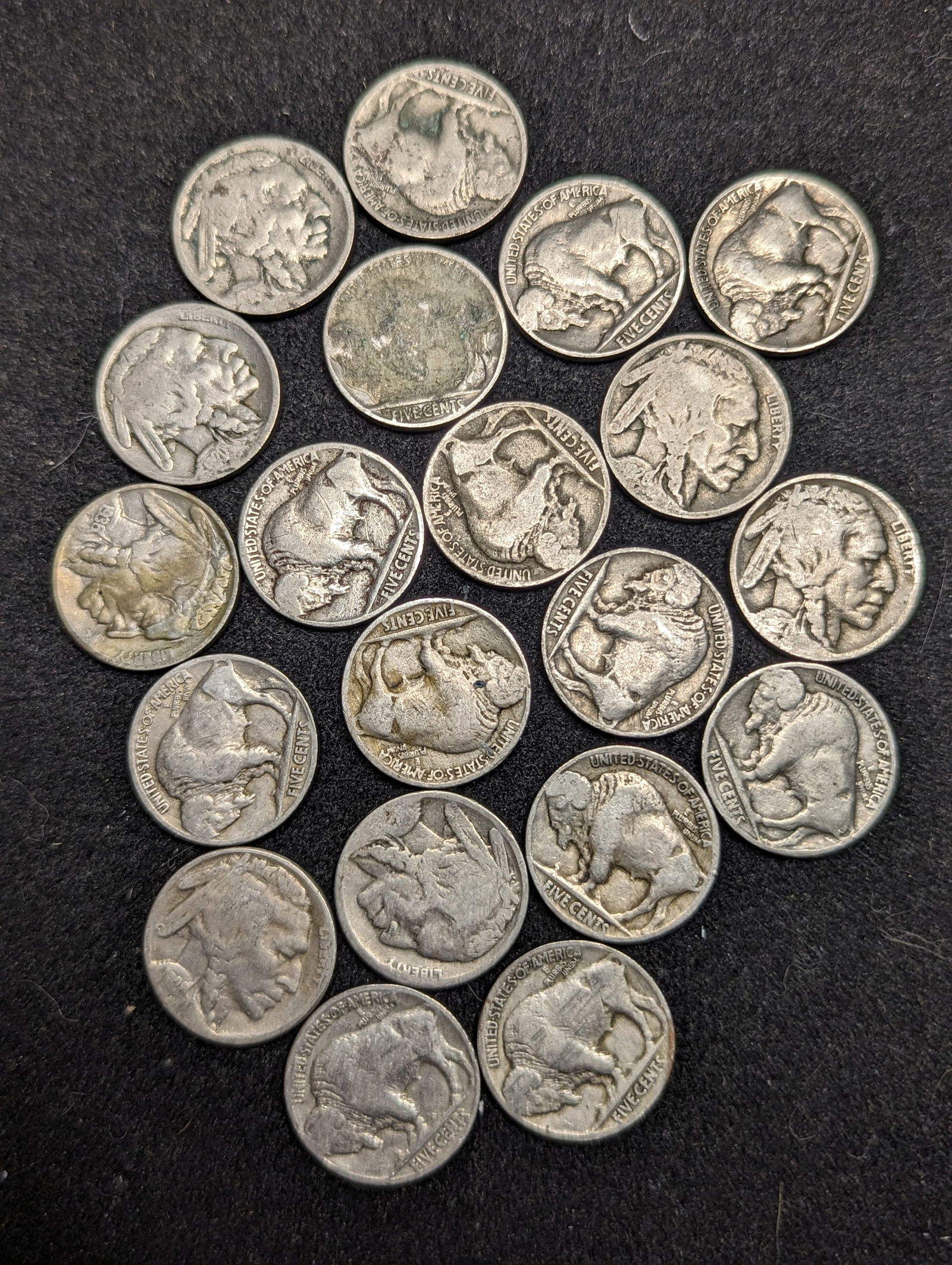 Group of Buffalo Nickel coins (1 of 1)