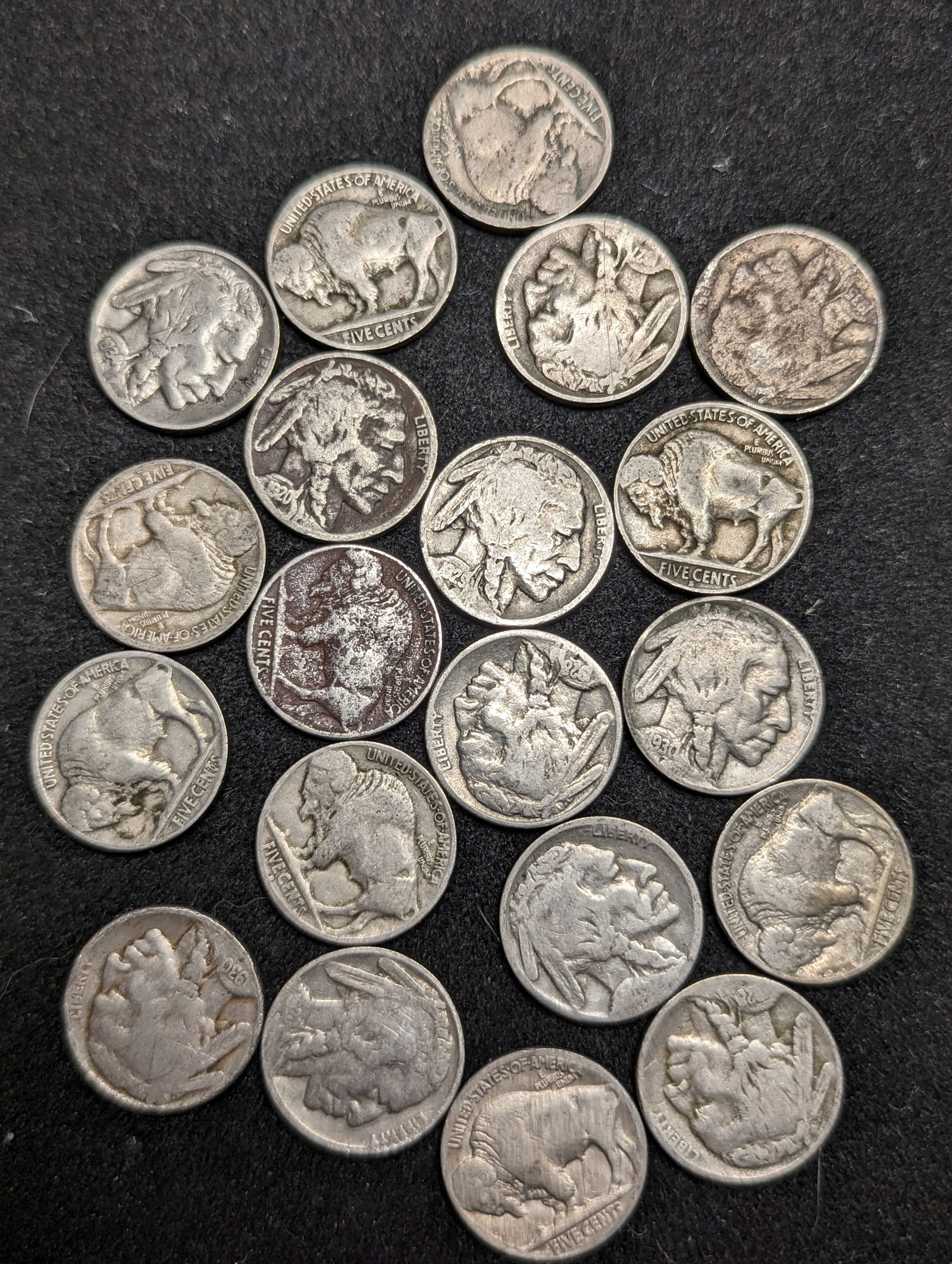 Group of Buffalo Nickel coins (1 of 1)