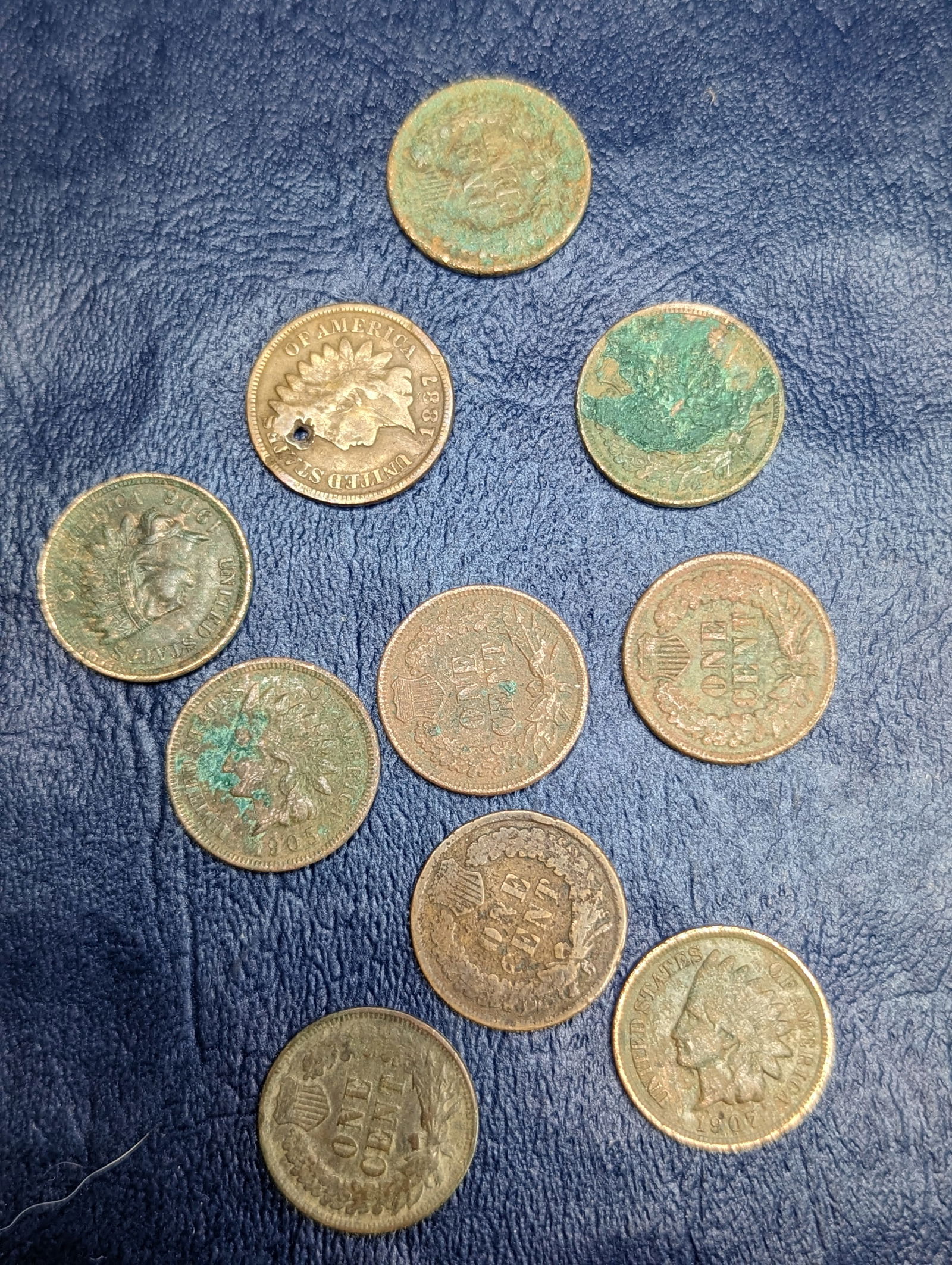 Assorted Indian Head Cent coins (1 of 1)