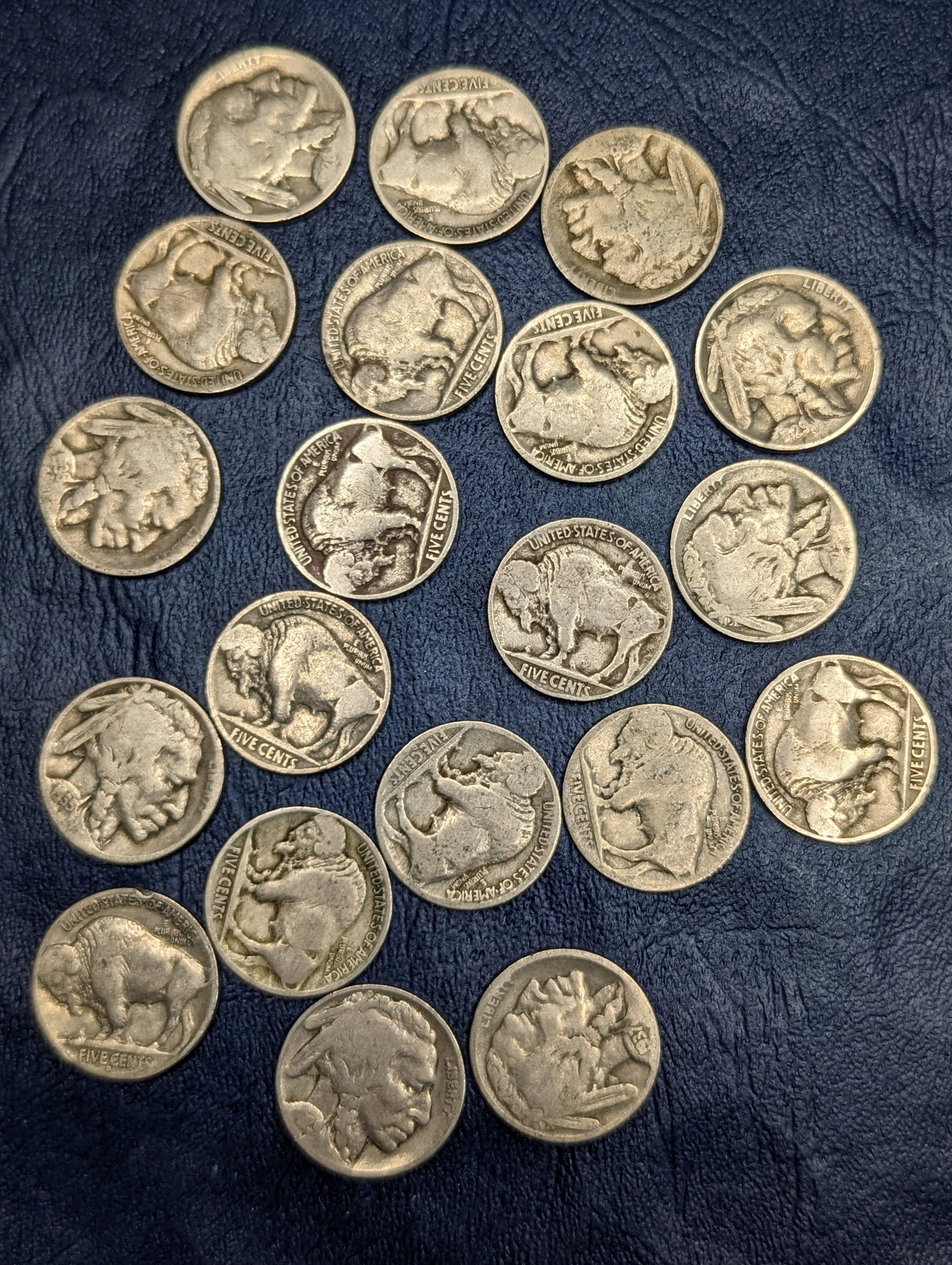 Assorted Buffalo Nickel coins (1 of 1)