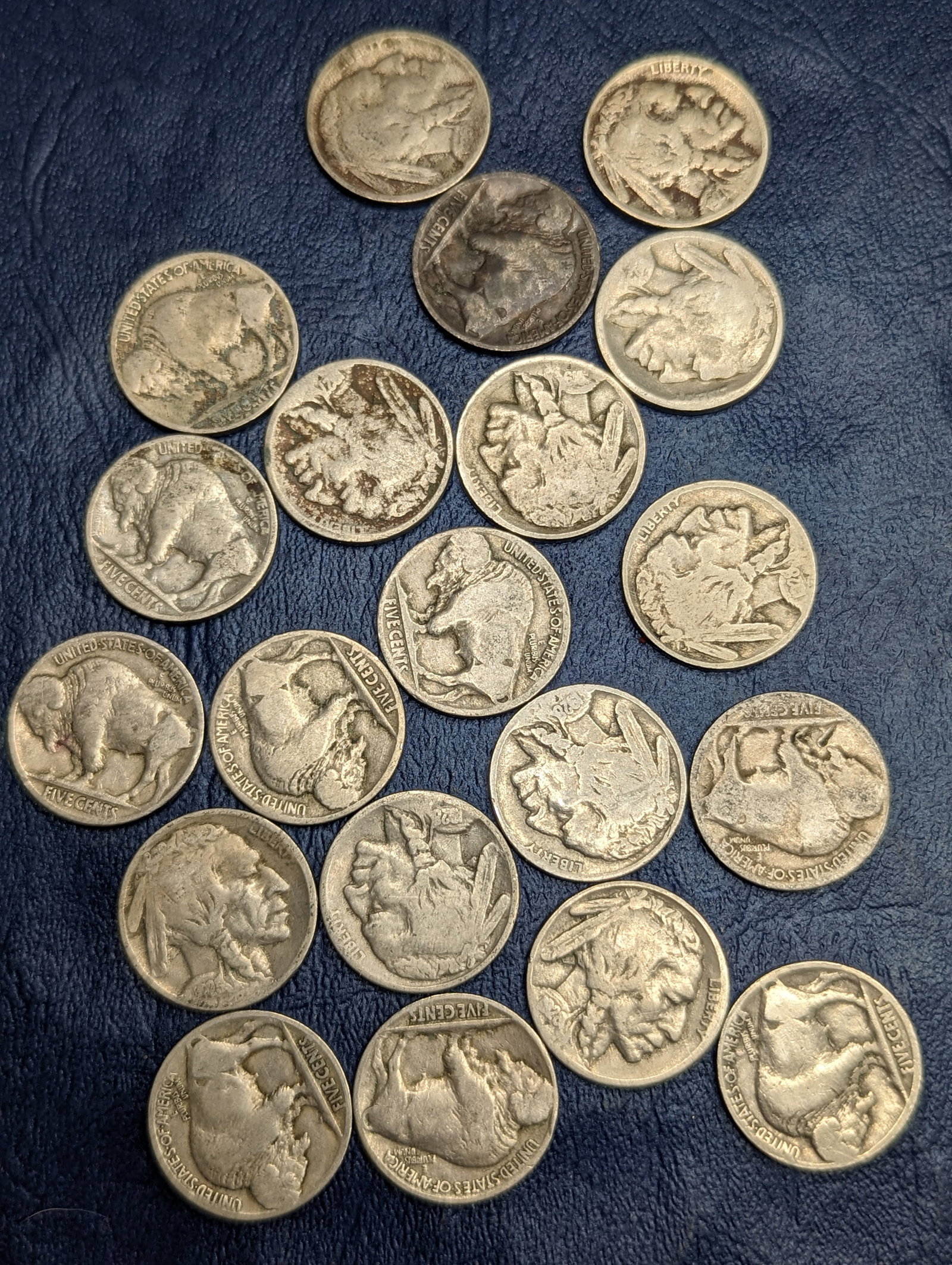 Assorted Buffalo Nickel coins (1 of 1)