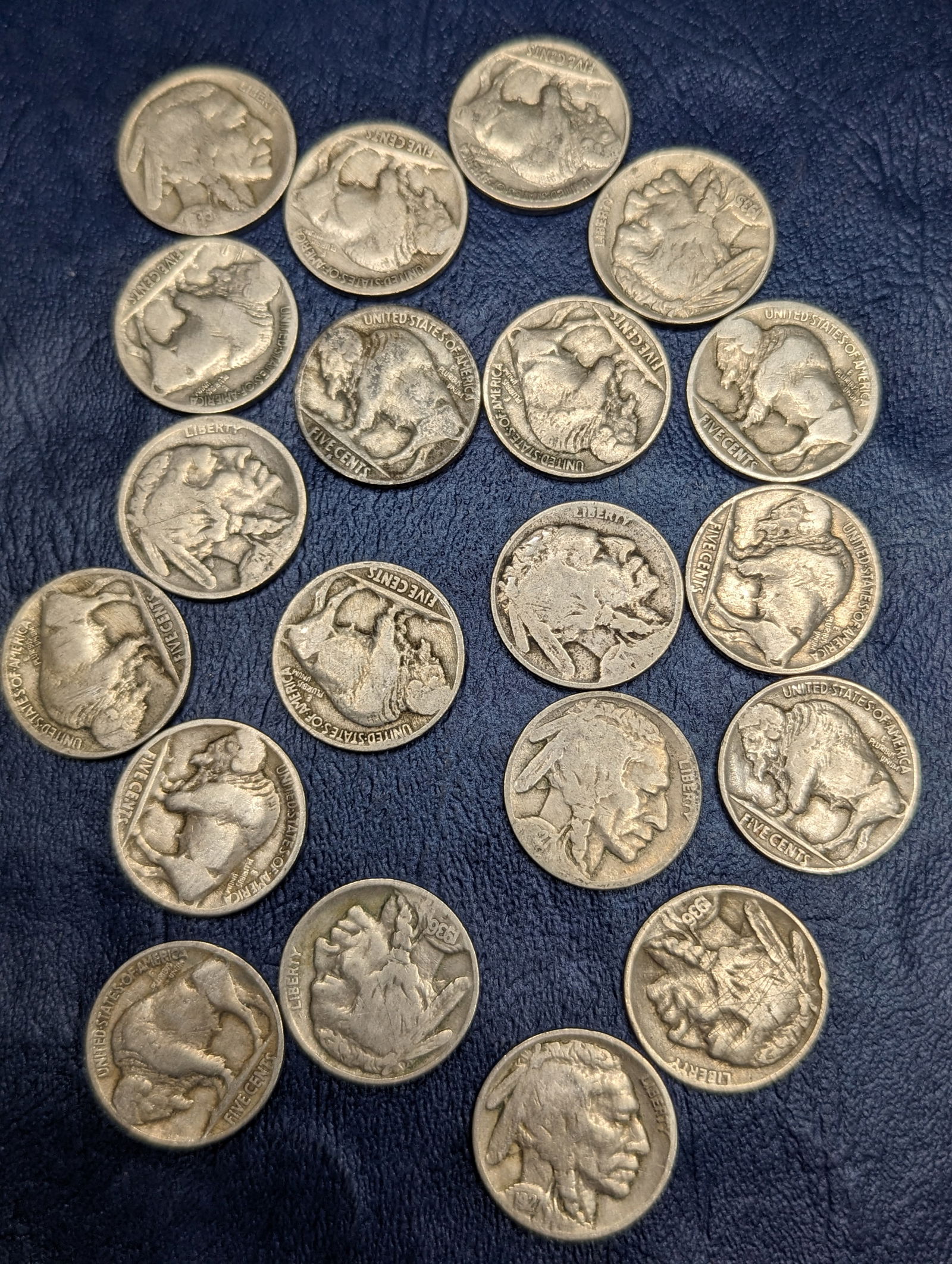 Assorted Buffalo Nickel coins (1 of 1)