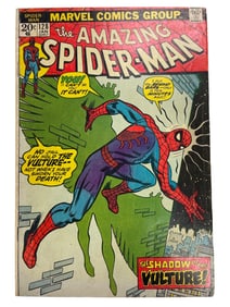 Amazing Spider-Man #128 (1974) Spidey Vs. Vulture